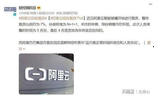 阿里人最新爆料视频,揭秘公司内部真实情况